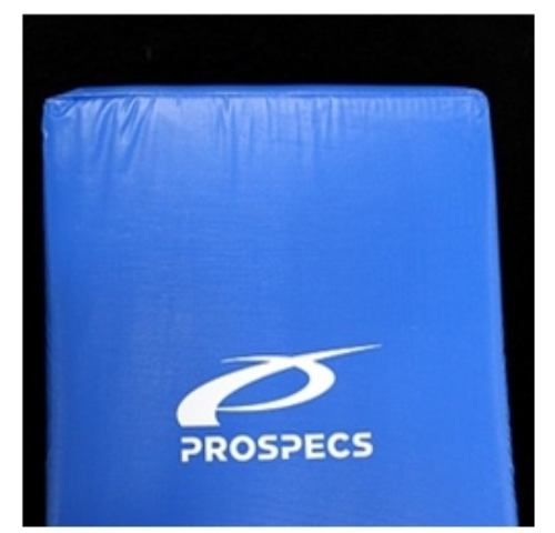 PRO-SPECS 프로스펙스 뒷차기미트 일자형